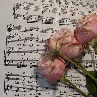 Знакомства Сургут Девушки Муз. школа 34