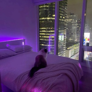 Знакомства Владимир Девушки Жаркое лето 2033