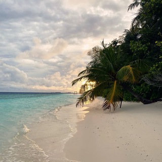 Знакомства Химки Девушки Райский остров Гили