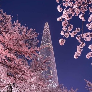 Знакомства Брянск Девушки Сакура и Владимир